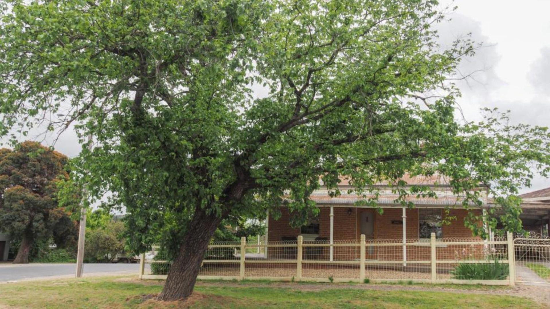 Hildas At Beechworth